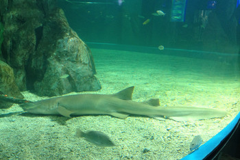 金鹰海底世界 - 常州游记攻略【携程攻略】