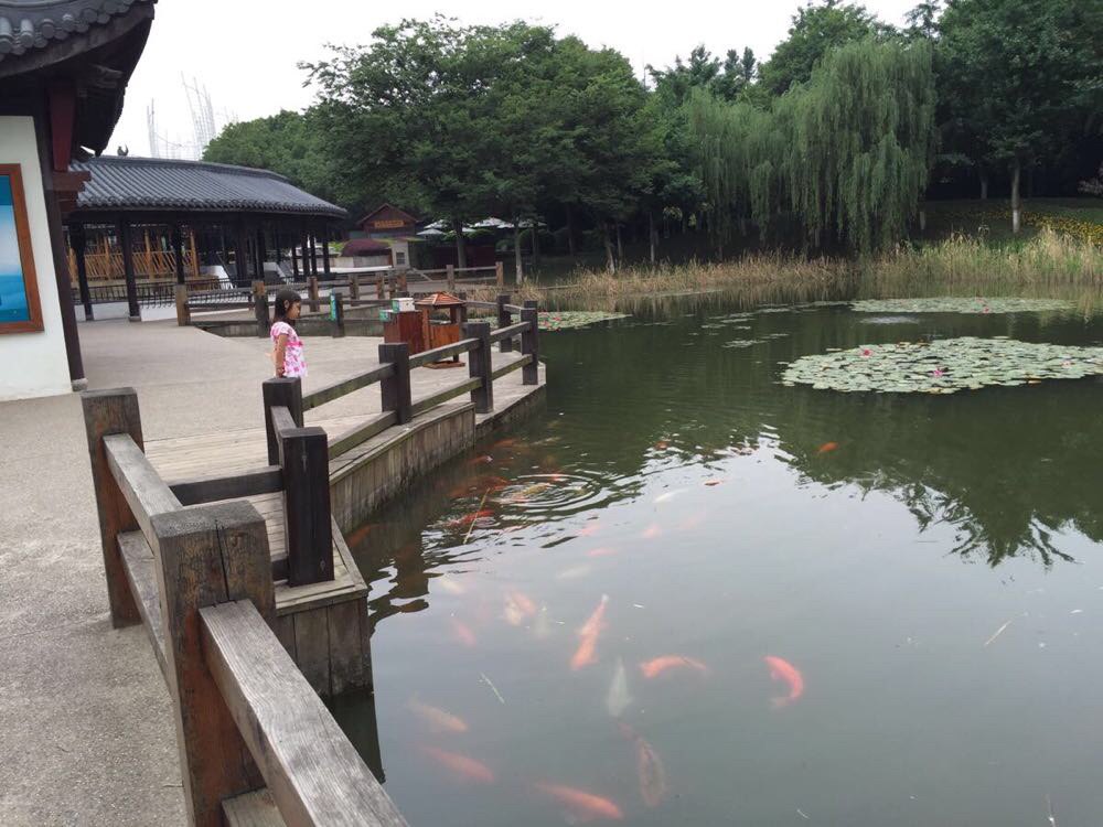 天目湖山水園蝴蝶谷 天目湖山水園龍興島