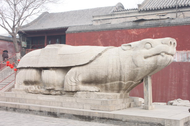 千年巨型赑屃. 开元寺