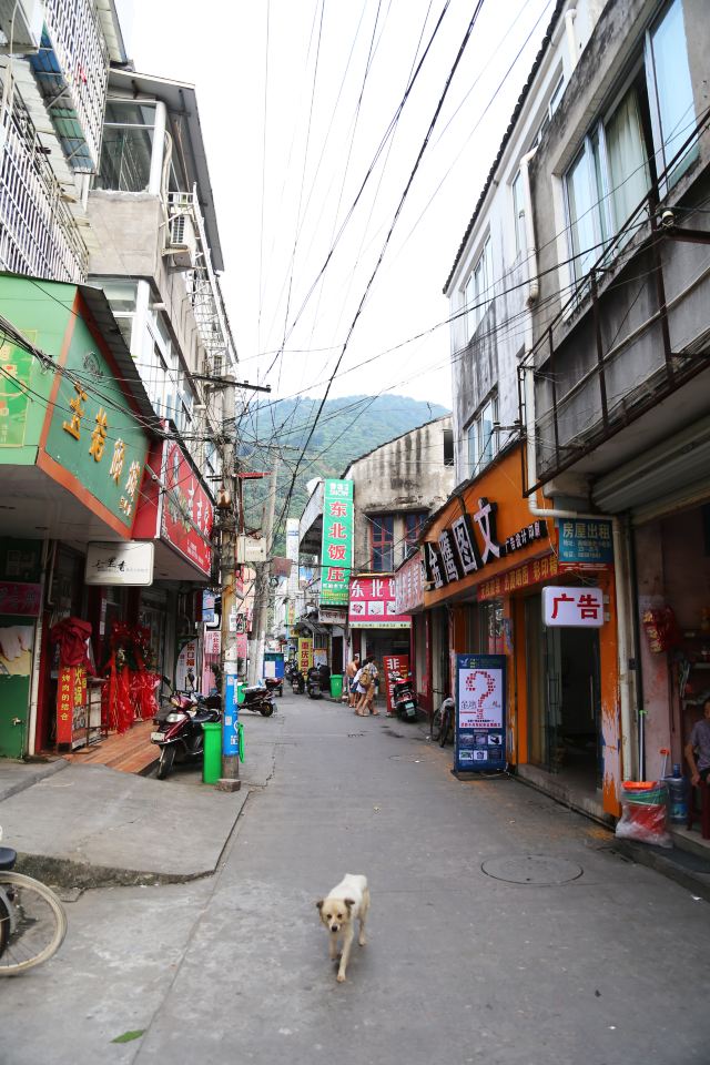 泰顺的街道虽然狭小,但是店铺很多