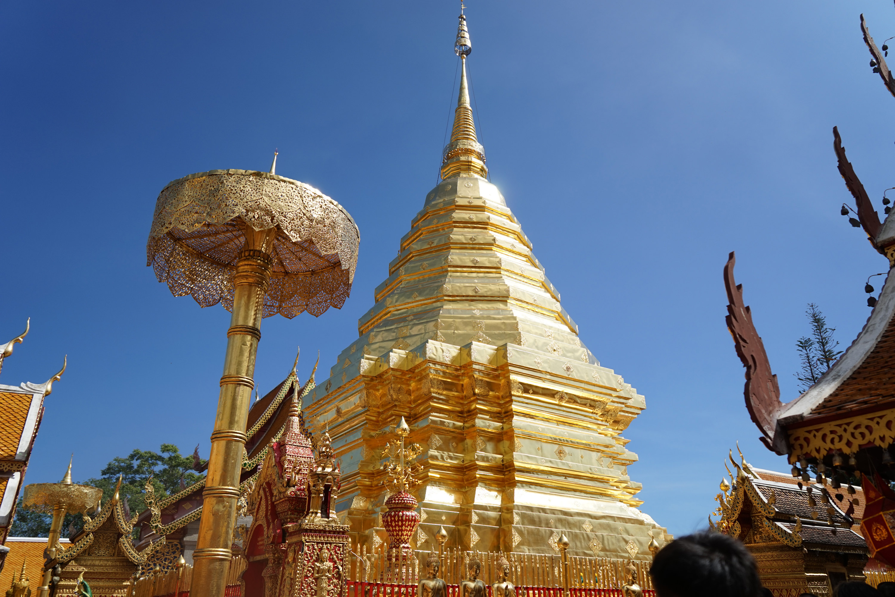 双龙寺  泰国  清迈】
