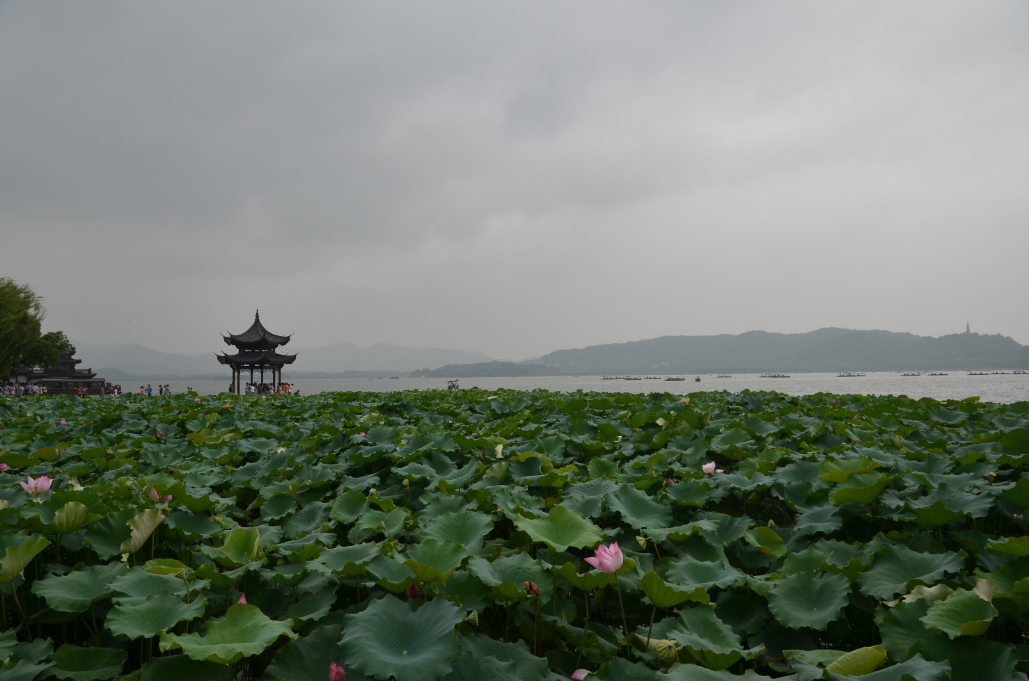 吃完午饭三点了,今日行程就是就近游览,溜达十几分钟去湖滨公园