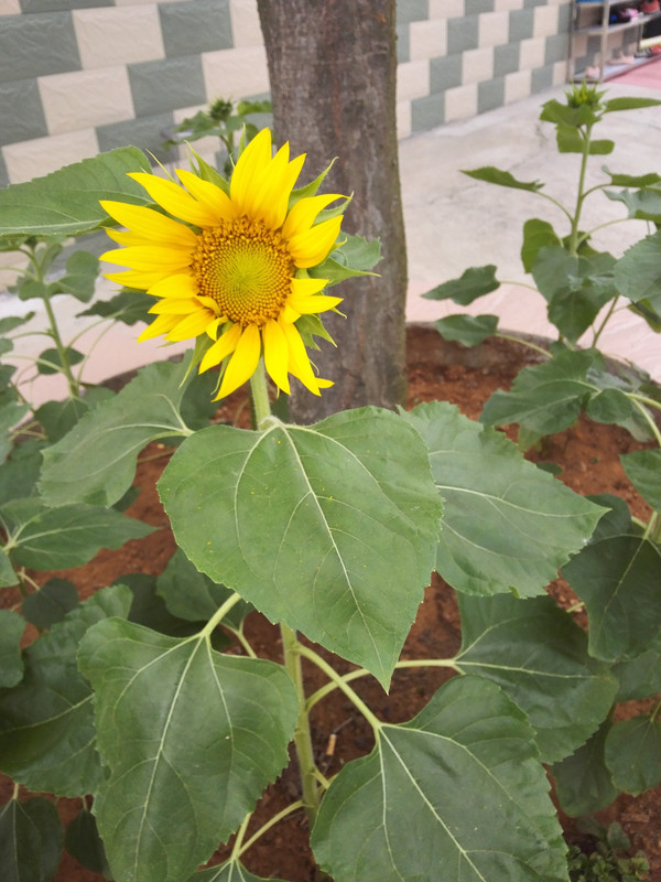 龙虾之都--江苏盱眙 周末两日游 江苏九寨沟的