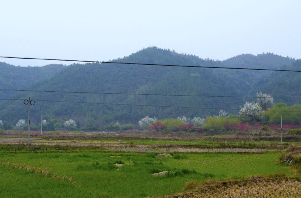 河源連平桃花山2