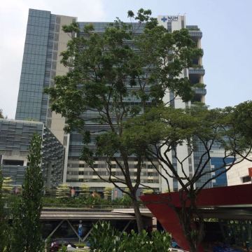 第三天,拜访了亚洲数一数二的学府,至今已经有110年历史的新加坡国立