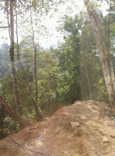 勐拉gdp_缅甸小勐拉(3)