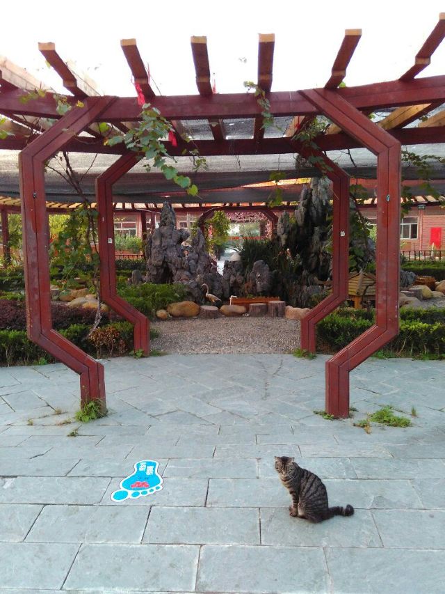 上海郊区鹤丰度假村、沈湖生态农庄度中秋