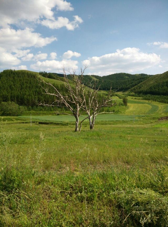 小井沟生态园图片