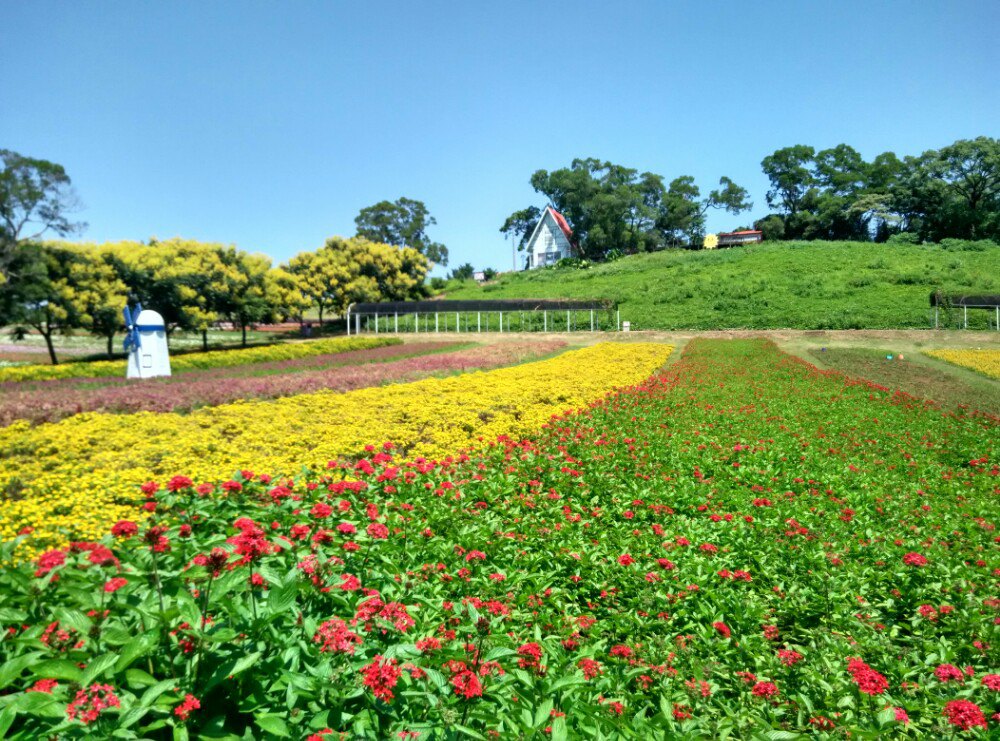 大溪花海农场