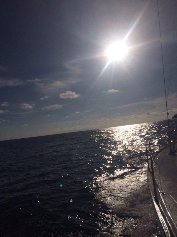 船头的视角 猴子海滩