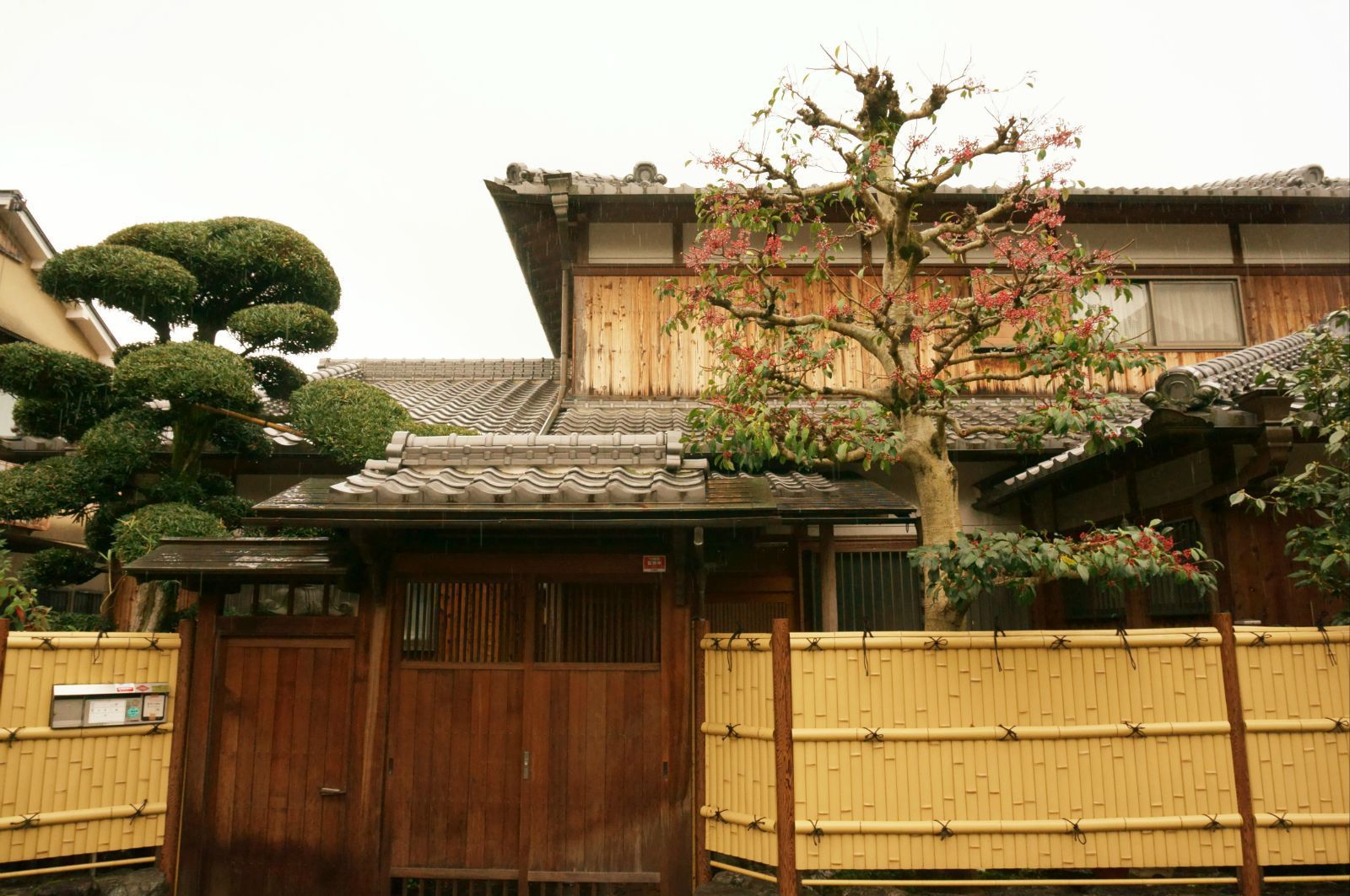 路上随手拍的.我也想住这种小房子里 京都府宇治上神社