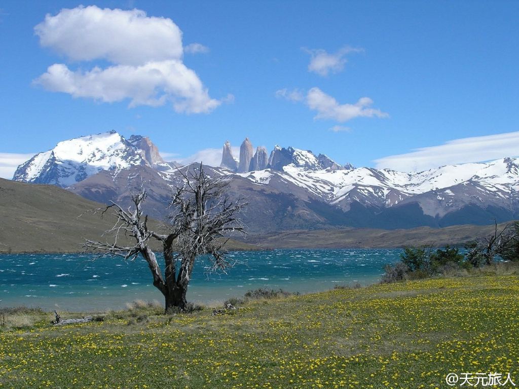 天堂智利(世界五大最美景色之一,智利百內公園torres del paine)