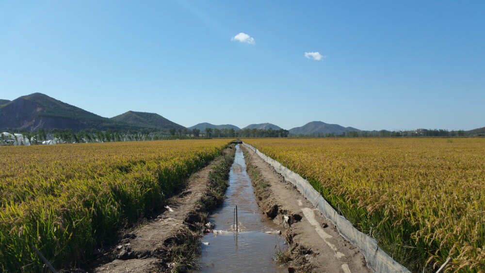 金峰小镇