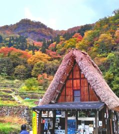 2021冰见市旅游攻略 12月冰见市 Himi 自助游 自驾 出游 自由行 游玩攻略 携程攻略