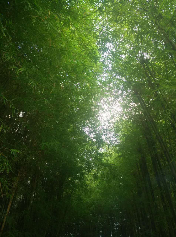 苏梅岛阳关灿烂浪漫自由行-曼函安酒店 - 苏梅