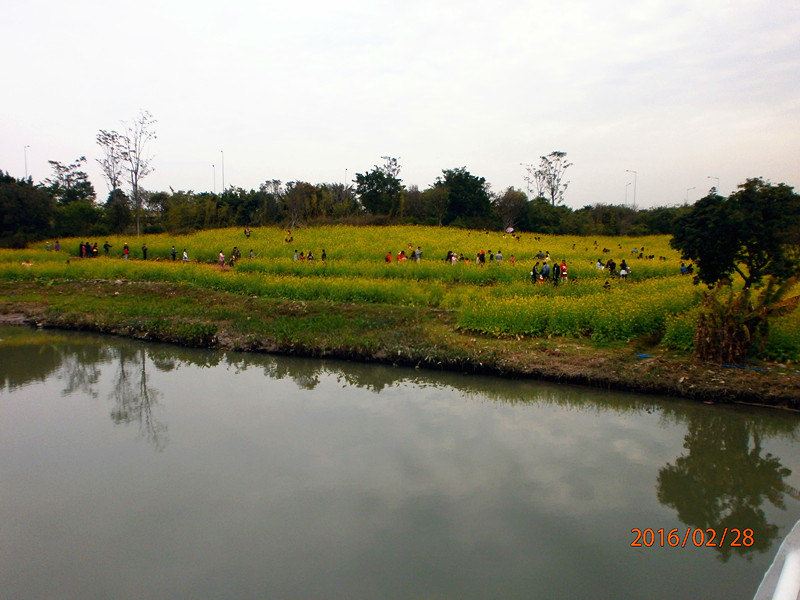 廣州海珠溼地公園