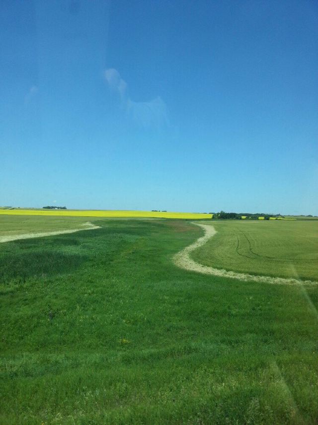 加拿大人号-世界十大豪华列车体验之三