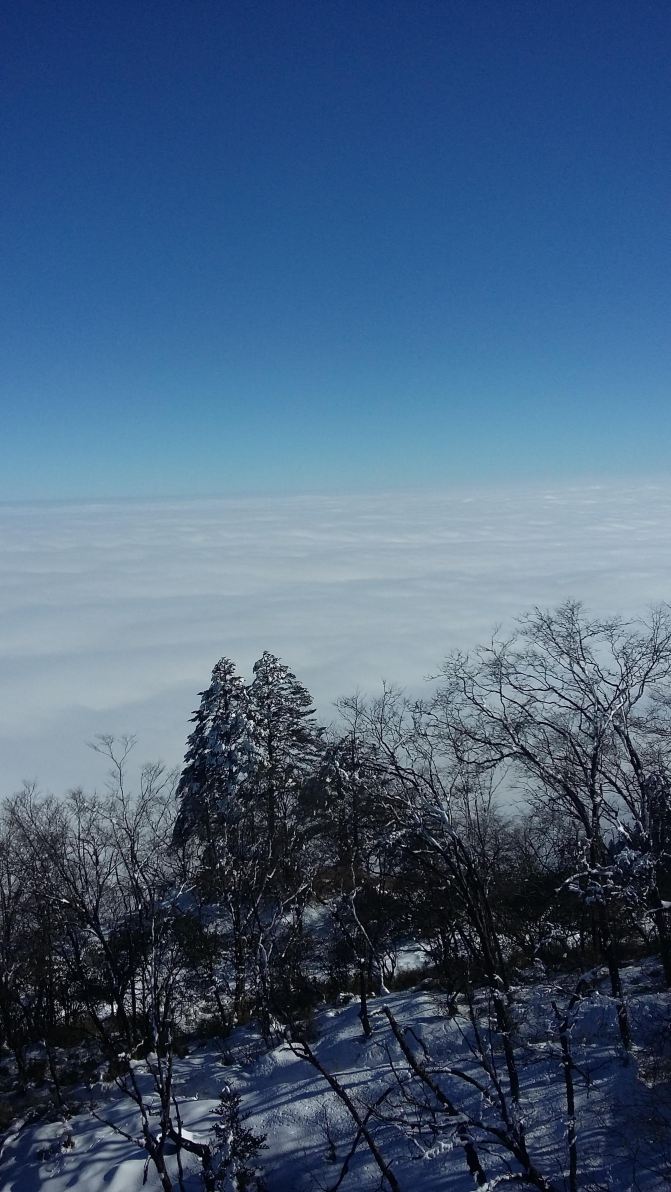 雪在手中 雲在身旁 霧在腳下——成都西嶺雪山一日行遊記