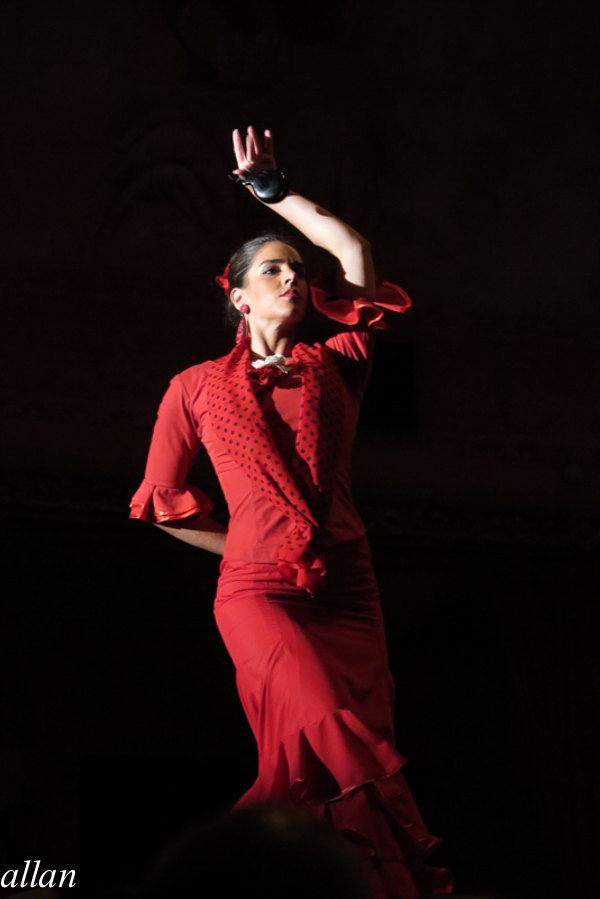 《爱上斗牛士系列》火热的弗拉门戈舞--allan带你去西班牙