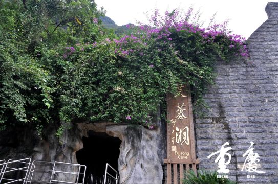 这个地方是本次旅行唯一认真查看学生证的地方嘞 芙蓉洞