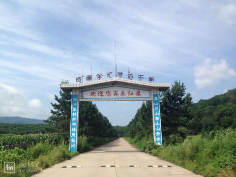 过了这个红旗林场,就是儿子见识最多的地方