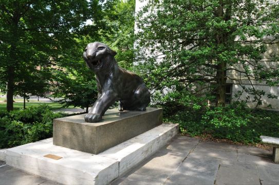 吉祥物老虎 普林斯顿大学