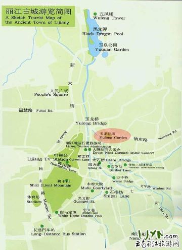 拉市海 国家湿地公园 候鸟的天堂