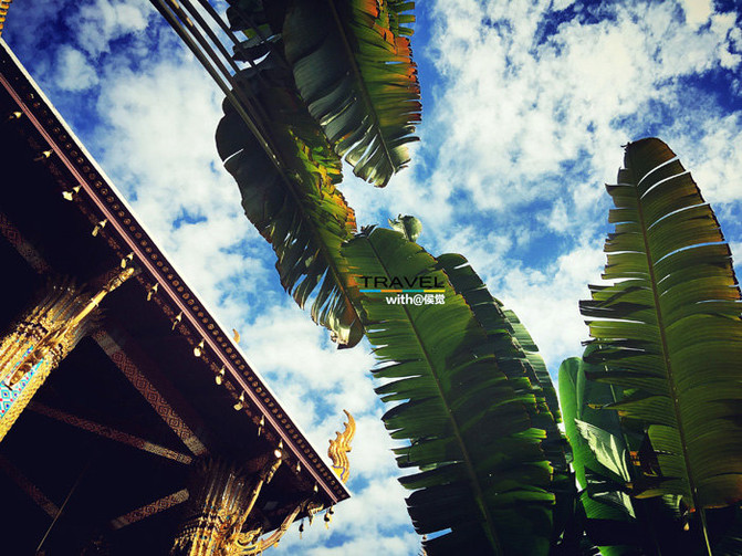 泰国皇室之旅 芭提雅狂欢 - 曼谷游记攻略