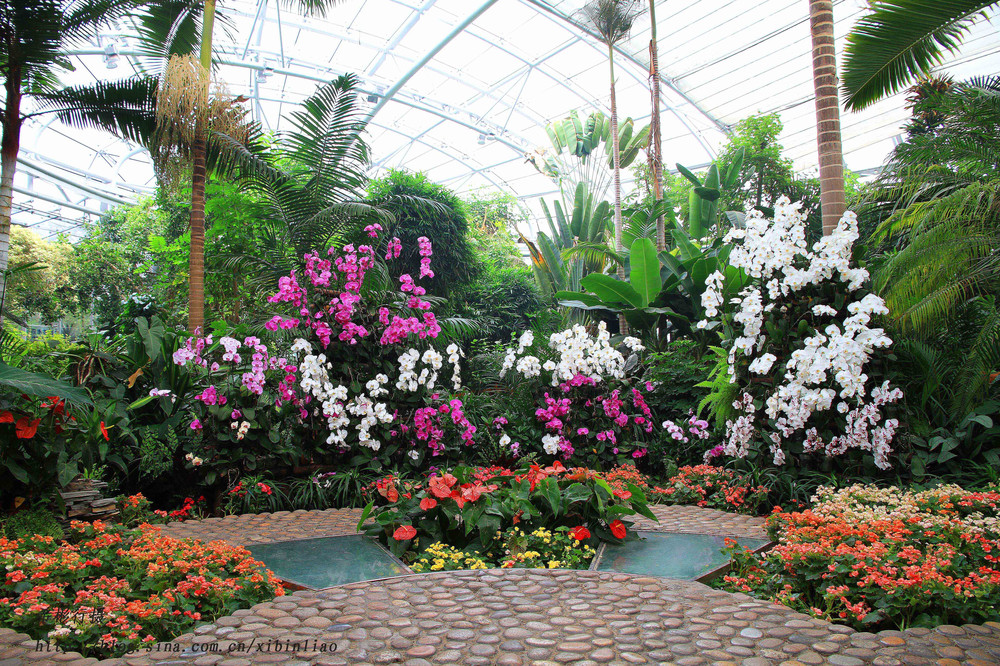 北京植物园温室 北京游记攻略 携程攻略
