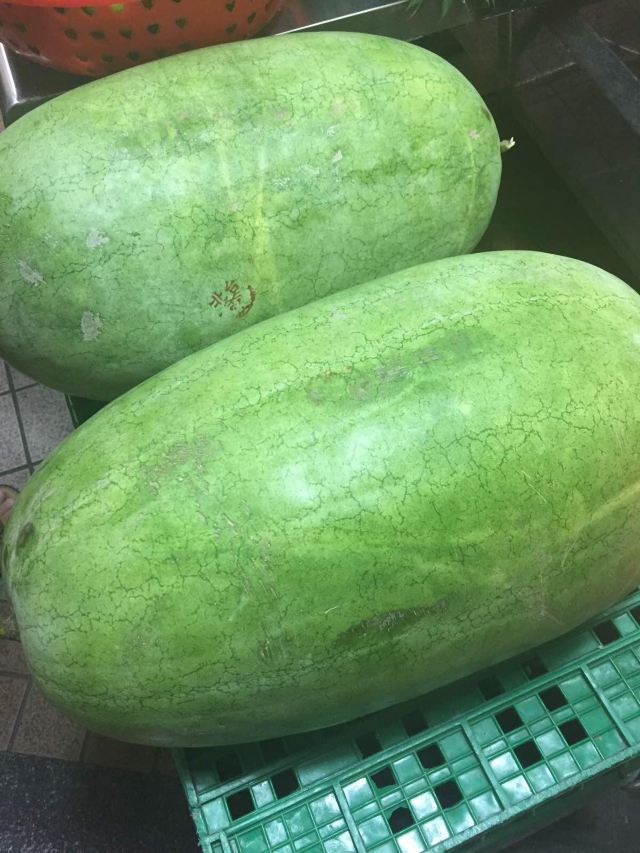 伦家真的不是冬瓜,我只是个西瓜而已.