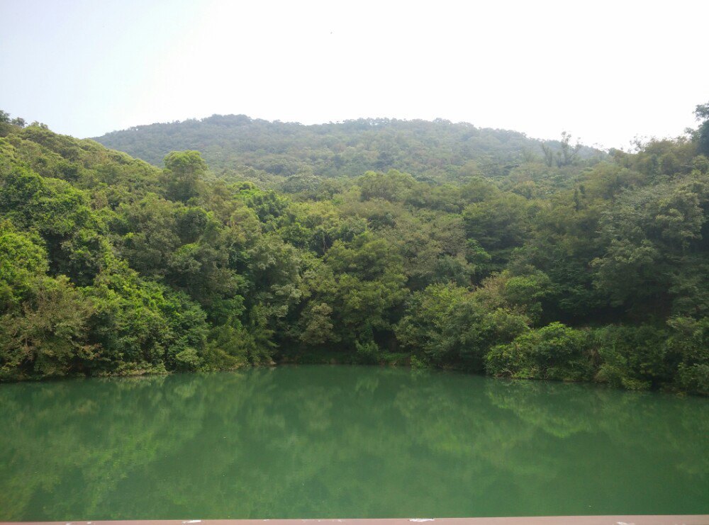 紫翠湖 清源山