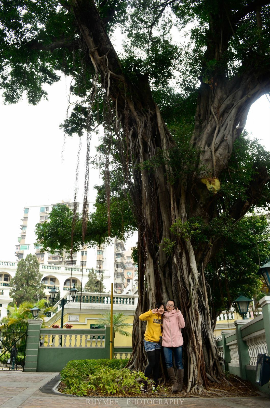 中 葡 混 血 (附:美食攻略)