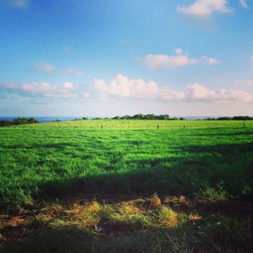 埔顶草原,住地放眼望去 埔顶大草原