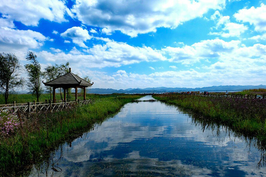 浪漫草海风景区