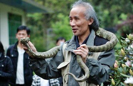 湖南蛇类研究专家陈远辉与莽山烙铁头蛇.