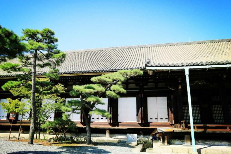 不走寻常路~日本关西暖心之旅(1)