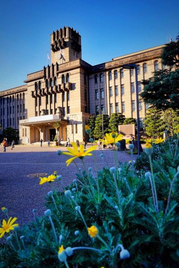 京都の游玩与日常(下)