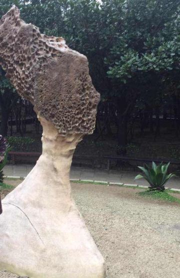 由于长年海饰风化及地壳运动,造就了这里独特的景观.这是女王石.