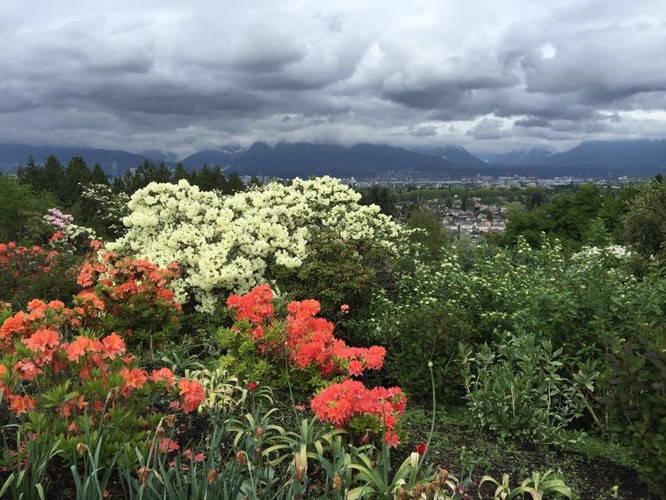 4月温哥华、班夫国家公园自由行 - 维多利亚游