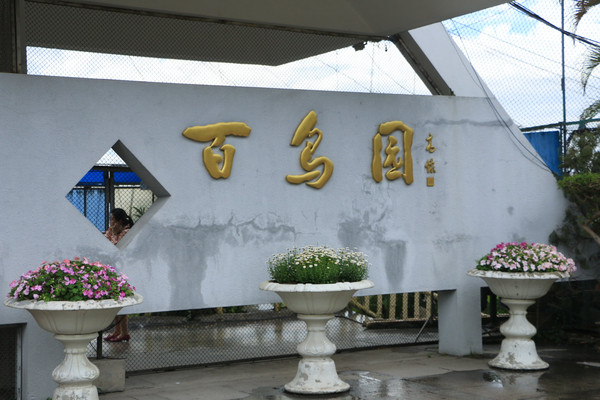 绕道长隆野生动物园春游鼓浪屿自助游