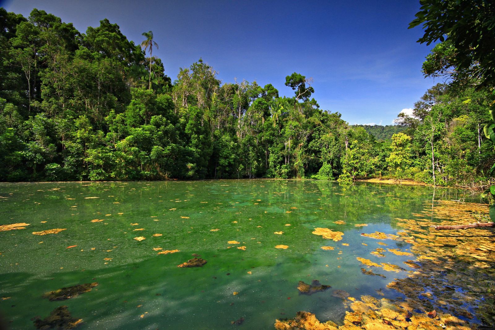泰国甲米翡翠湖