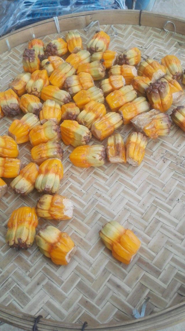 从太湖到北海之滨