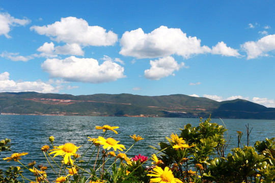 11月,一个人的云南自由行