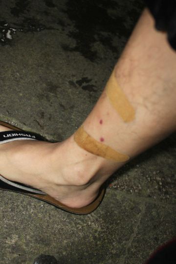 粤爱猫儿山探险之旅