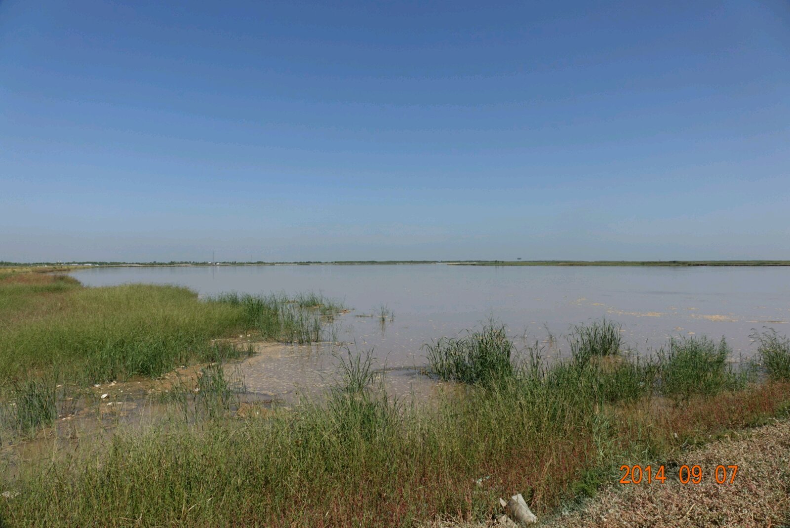 平罗县陶乐镇黄河湿地