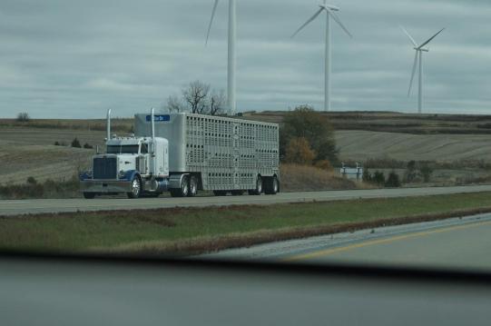 由于美国的公路极为发达,州际和近距离运输基本利用公路.