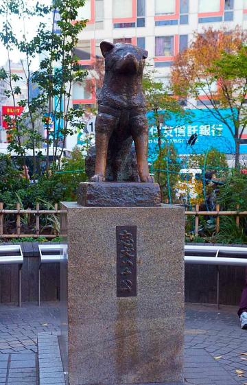 忠犬八公～地标呀 涩谷