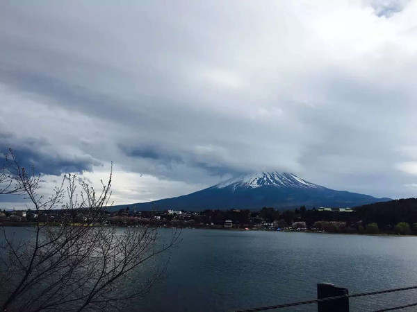 自駕遊世界之日本中部名古屋-下呂-高山-上高地-松本-富士山 5日櫻花