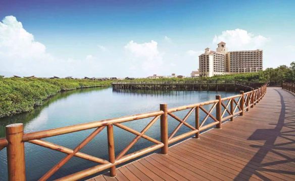 到红树湾湿地公园,睡一晚负离子满满的酣甜