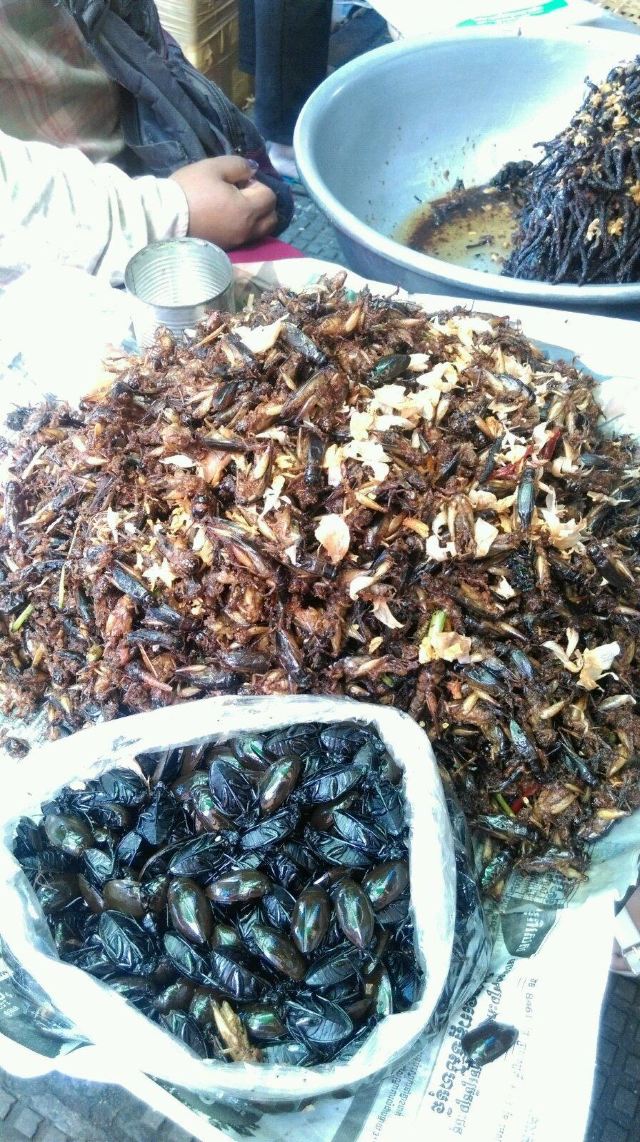 逛农贸市场看到一些稀奇古怪的虫子,竟然有烤好的狼蛛卖!没敢品尝!